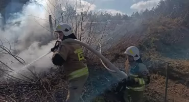 Zaczęło się od pożaru traw. Ogień przedostał się do lasu