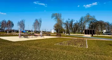 Posadzą 100 drzew. Możesz wziąć udział!