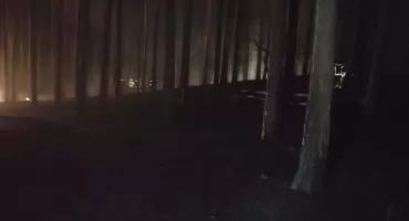 Pożar lasu. Na miejscu pracowało dziewięć zastępów 