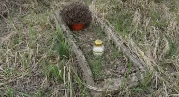 Cmentarz ewangelicki w Serocku-Wątrobowie. Co pozostało po dawnych mieszkańcach tego regionu?