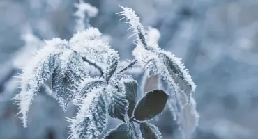 To będzie kolejna zimna noc. Jest ostrzeżenie dla powiatu świeckiego