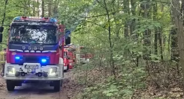 Pożar lasu w powiecie świeckim. Na miejscu pracowali strażacy z kilku gmin